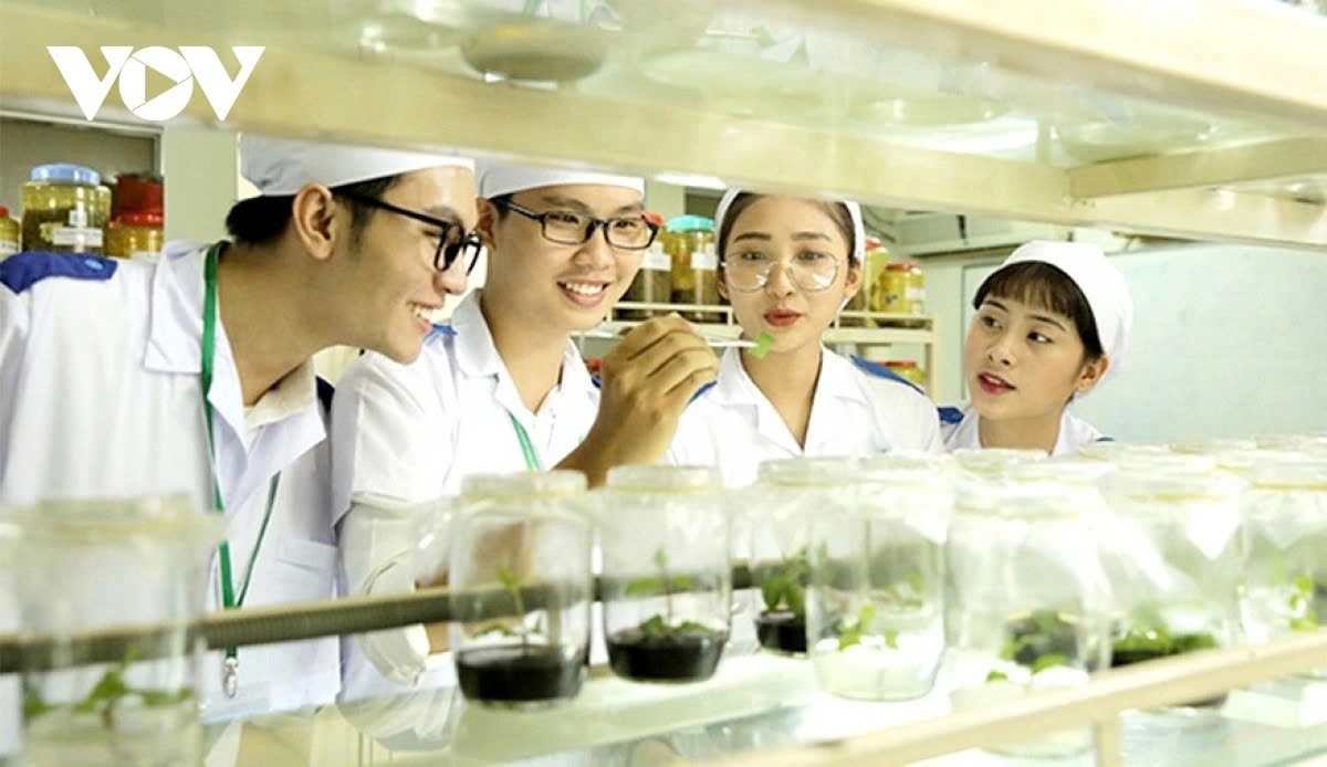 Các ngành khoa học cơ bản là cột móng để hiện thực hóa Nghị quyết 57